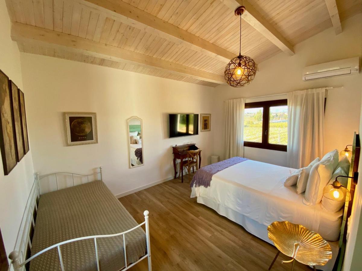 Bed & Breakfast Wine & Cooking Penedès Pla del Panadés Exterior foto
